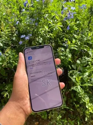 Apple iPhone 12 Pro Max (Used)
