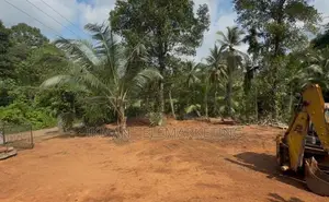 Land for Sale in Radawana Kirindiwela