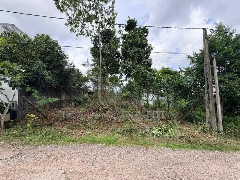 11-Perch Land for Sale in Polgasowita