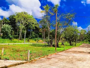 Koggala Lake Facing Land For Sale In Ahangama