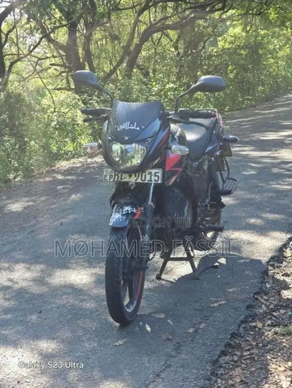 Bajaj Pulsar 150 2015