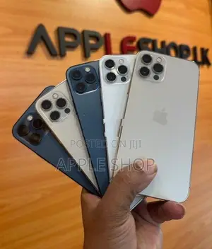 Apple iPhone 12 Pro 256GB (Used)