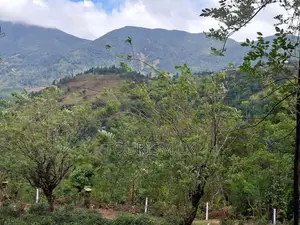 Land For Sale Knuckles Hunnasgiriya In Matale