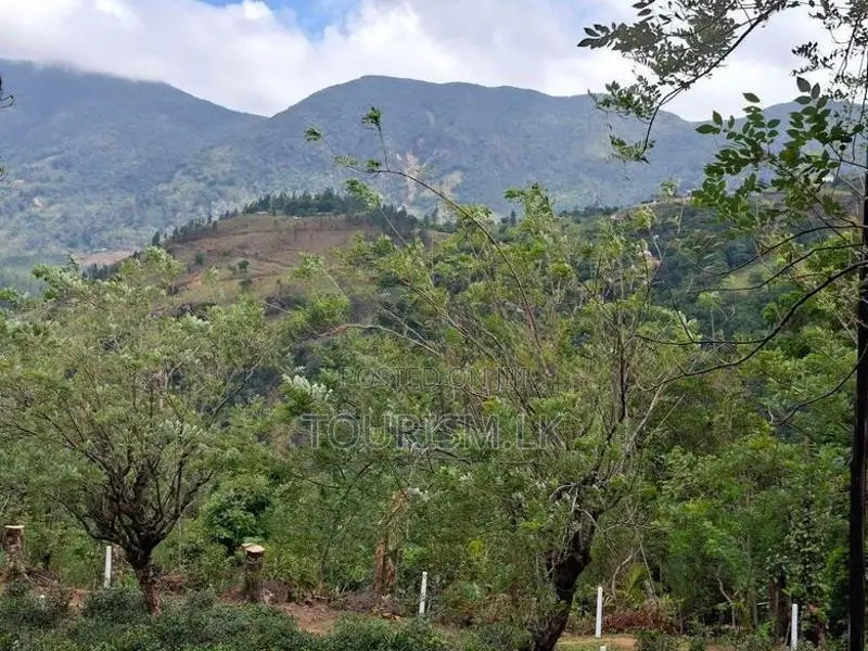 Land For Sale Knuckles Hunnasgiriya In Matale