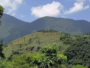 Land For Sale Knuckles Hunnasgiriya In Matale