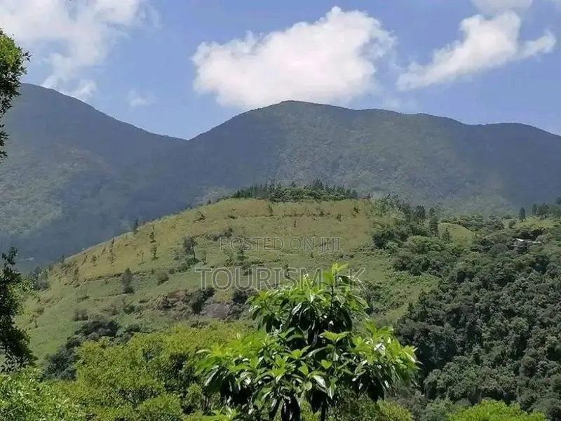 Land For Sale Knuckles Hunnasgiriya In Matale