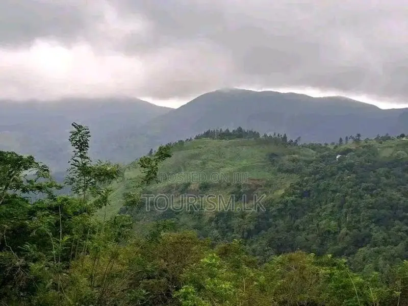 Land For Sale Knuckles Hunnasgiriya In Matale