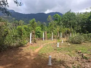 Land For Sale Knuckles Hunnasgiriya In Matale