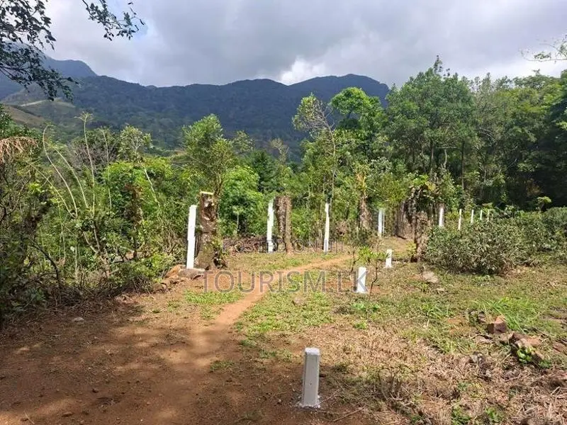 Land For Sale Knuckles Hunnasgiriya In Matale