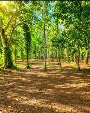 Land For Sale In Weligama