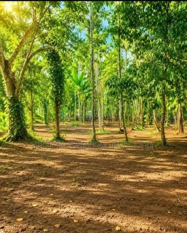 Land For Sale In Weligama