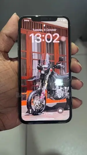 Apple iPhone X (Used)
