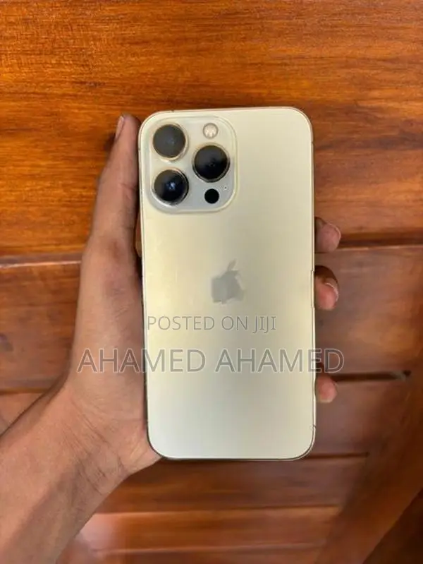 Apple iPhone 13 Pro 256GB (Used)