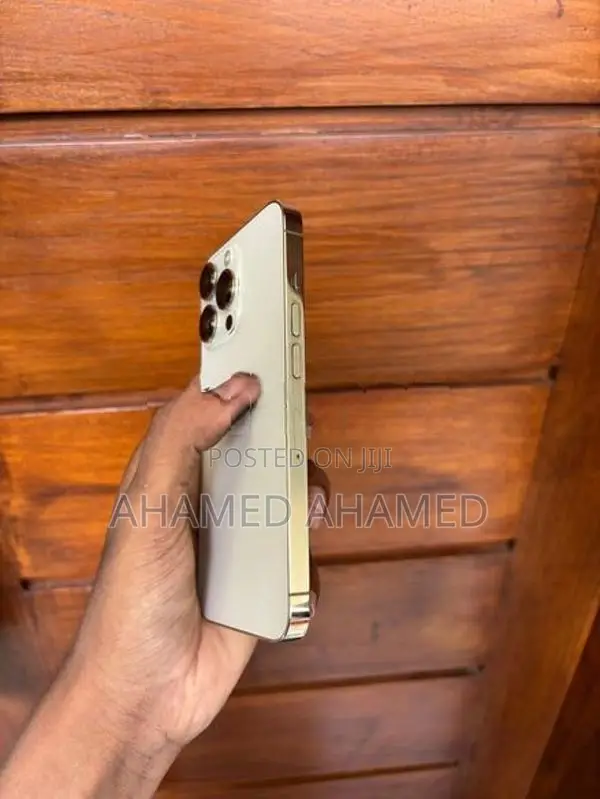 Apple iPhone 13 Pro 256GB (Used)