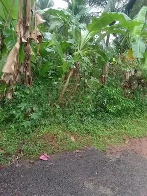 Land For Sale In Homagama