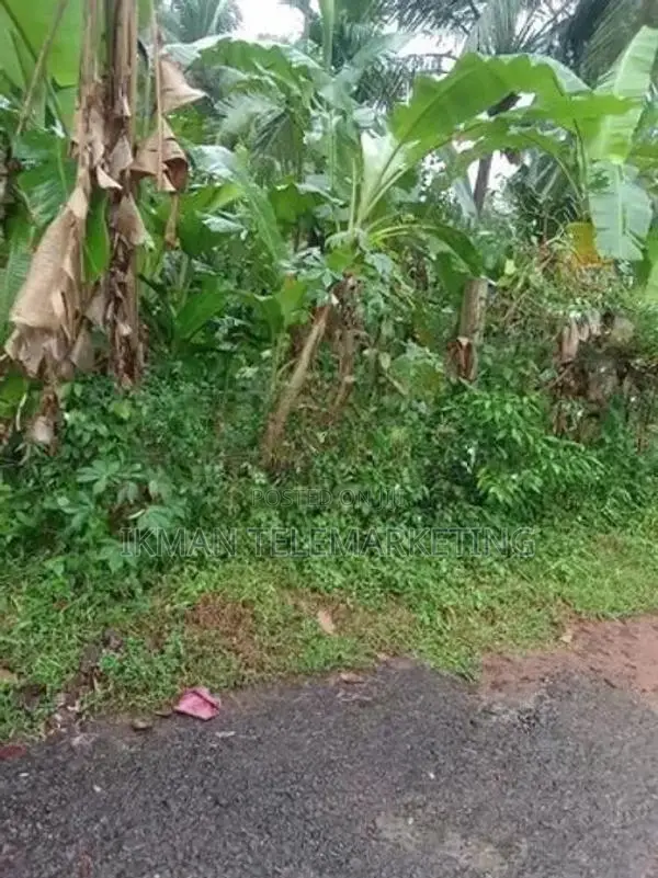 Land For Sale In Homagama