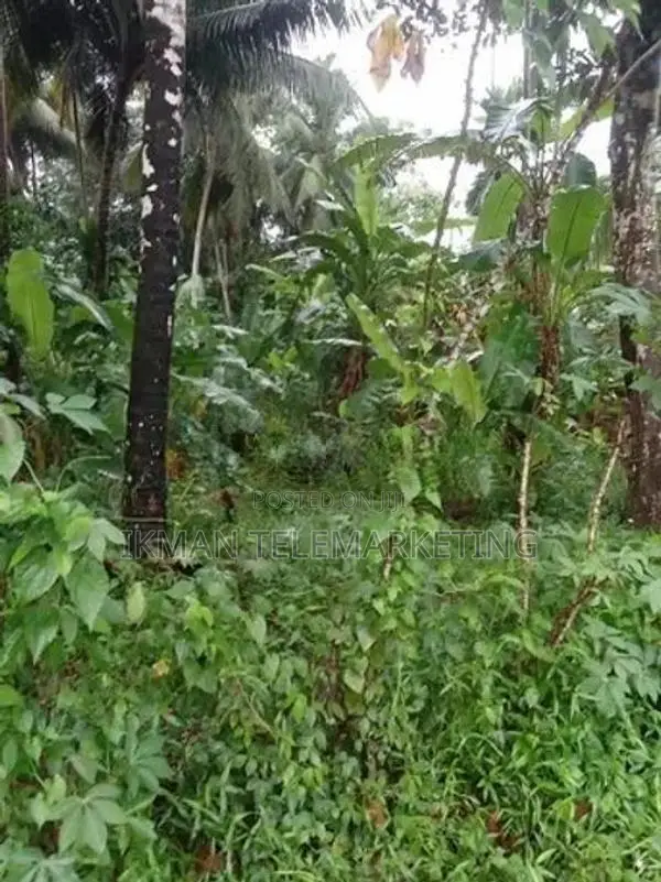 Land For Sale In Homagama