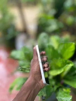 Apple iPhone 14 (Used)