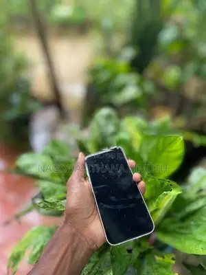 Apple iPhone 14 (Used)