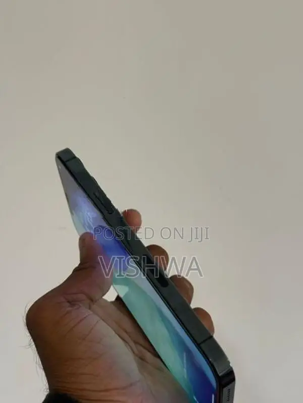 Apple iPhone 12 Pro Max (Used)