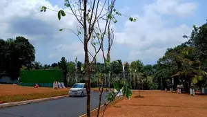 Near Kottawa Twon Valuable Land Plots For Sale