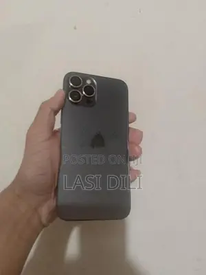Apple iPhone 12 Pro Max (Used)