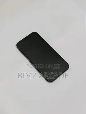 Apple iPhone 12 Pro Max 128GB (Used)