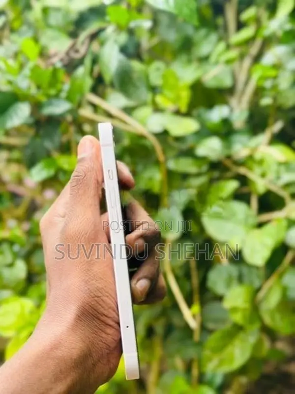Apple iPhone 13 (Used)