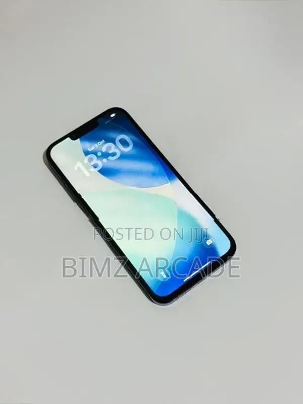 Apple iPhone 13 Pro Max 128GB (Used)