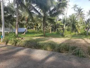 නාරම්මලින් ඉඩමක්