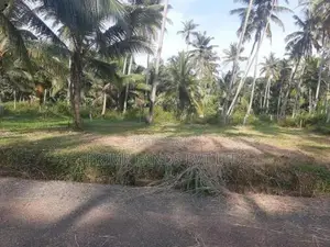 නාරම්මලින් ඉඩමක්