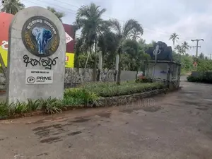 නාරම්මලින් ඉඩමක්