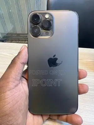 Apple iPhone 13 Pro Max 256GB (Used)