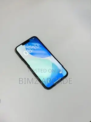 Apple iPhone 13 Pro Max 256GB (Used)