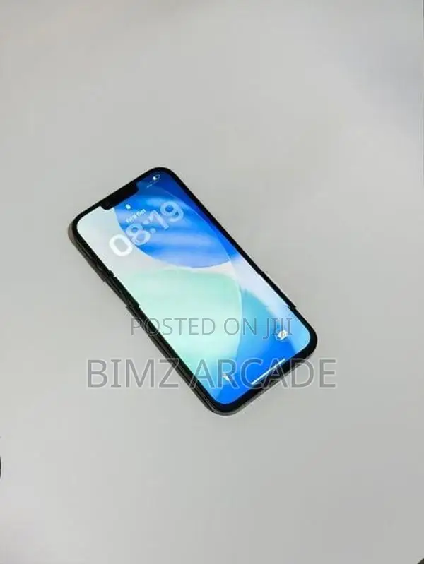 Apple iPhone 13 Pro Max 256GB (Used)