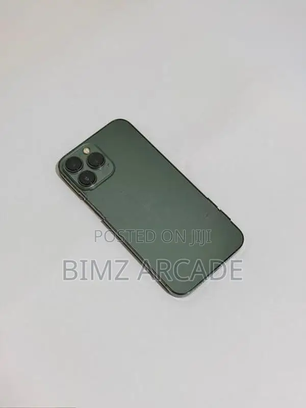 Apple iPhone 13 Pro Max 256GB (Used)