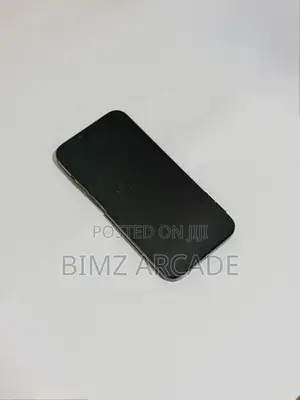 Apple iPhone 13 Pro Max 256GB (Used)