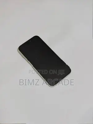 Apple iPhone 17 Pro Max 256GB (Used)