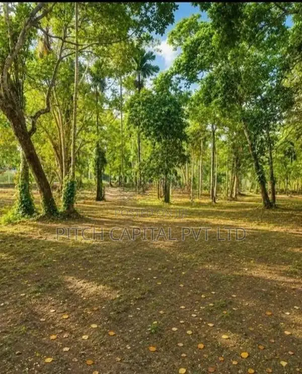 Galle - Koggala Superb Tourism Land Plots Sale