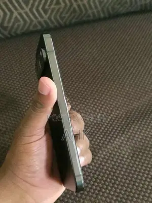 Google Pixel 9 Pro XL (Used)