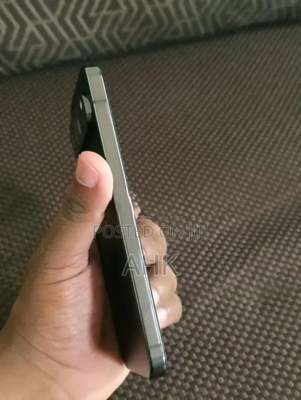 Google Pixel 9 Pro XL (Used)