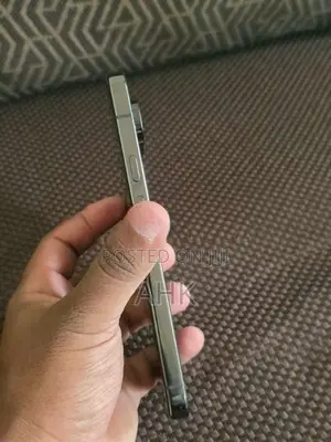 Google Pixel 9 Pro XL (Used)