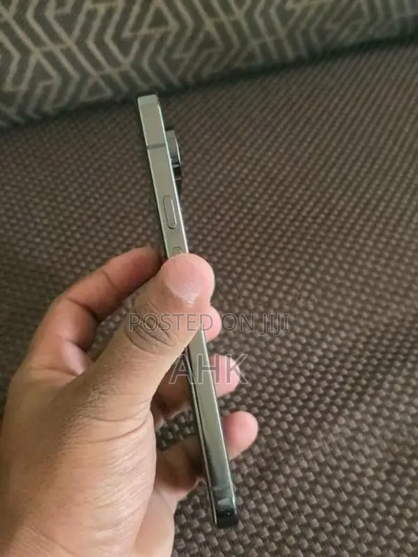 Google Pixel 9 Pro XL (Used)