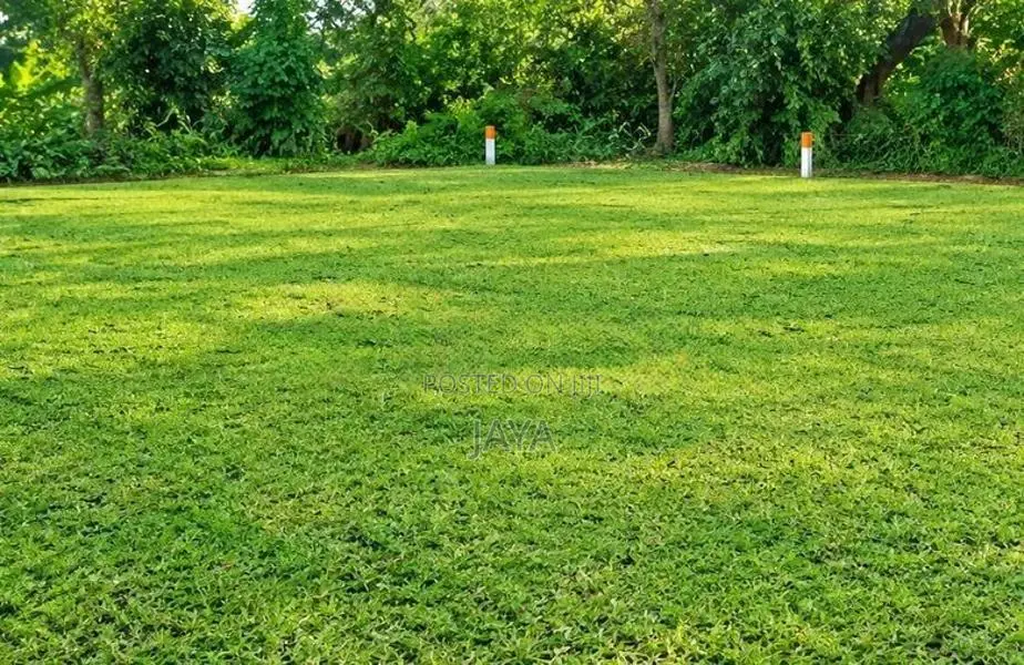 පදිංචියට හොදම ඉඩමක් - Panagoda In Godagama