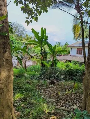නිට්ටඹුව Pizzahut/Thilakawardhana Textile 400m දුරින් බිම් කොටසක්