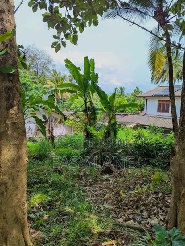 නිට්ටඹුව Pizzahut/Thilakawardhana Textile 400m දුරින් බිම් කොටසක්