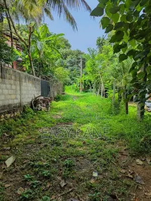 නිට්ටඹුව Pizzahut/Thilakawardhana Textile 400m දුරින් බිම් කොටසක්
