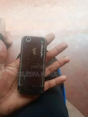 Sony Ericsson W890i (Used)