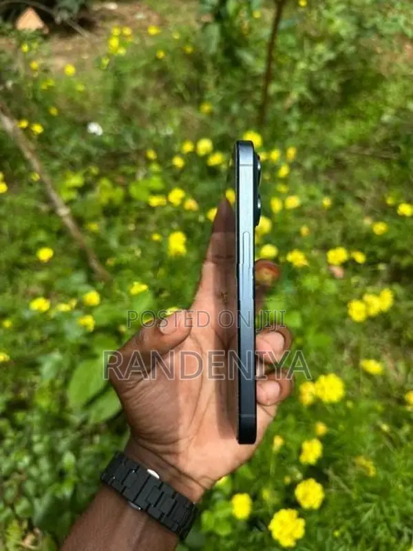 Apple iPhone 15 Pro 128GB (Used)