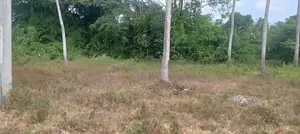 Land for Sale - Katunayake